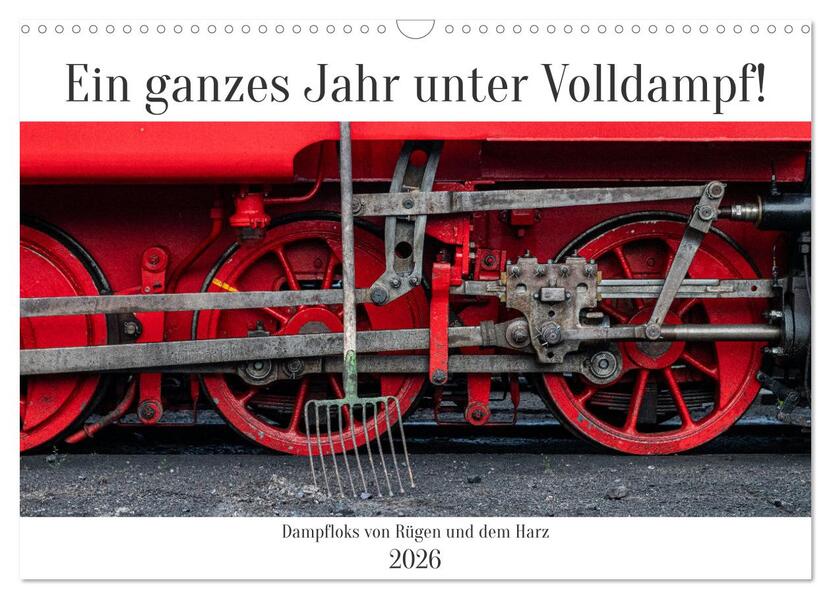 Ein ganzes Jahr unter Volldampf! (Wandkalender 2026 DIN A3 quer) CALVENDO Monatskalender