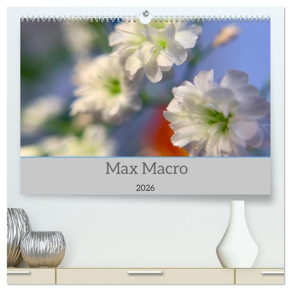 Max Macro (hochwertiger Premium Wandkalender 2026 DIN A2 quer) Kunstdruck in Hochglanz