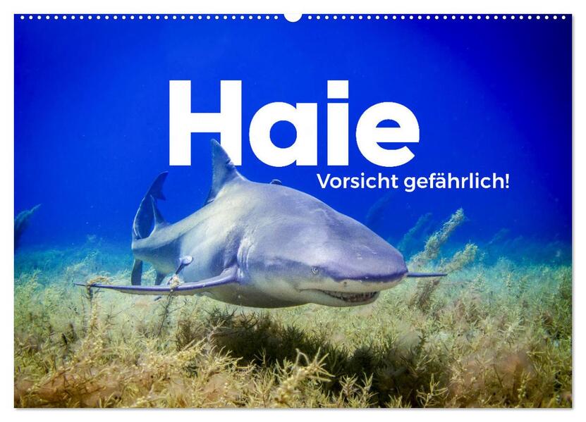 Haie - Vorsicht gefährlich! (Wandkalender 2026 DIN A2 quer) CALVENDO Monatskalender