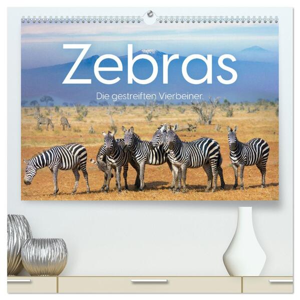 Zebras - Die gestreiften Vierbeiner. (hochwertiger Premium Wandkalender 2026 DIN A2 quer) Kunstdruck in Hochglanz