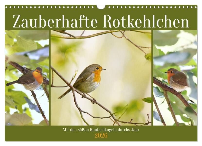 Zauberhafte Rotkehlchen (Wandkalender 2026 DIN A3 quer) CALVENDO Monatskalender