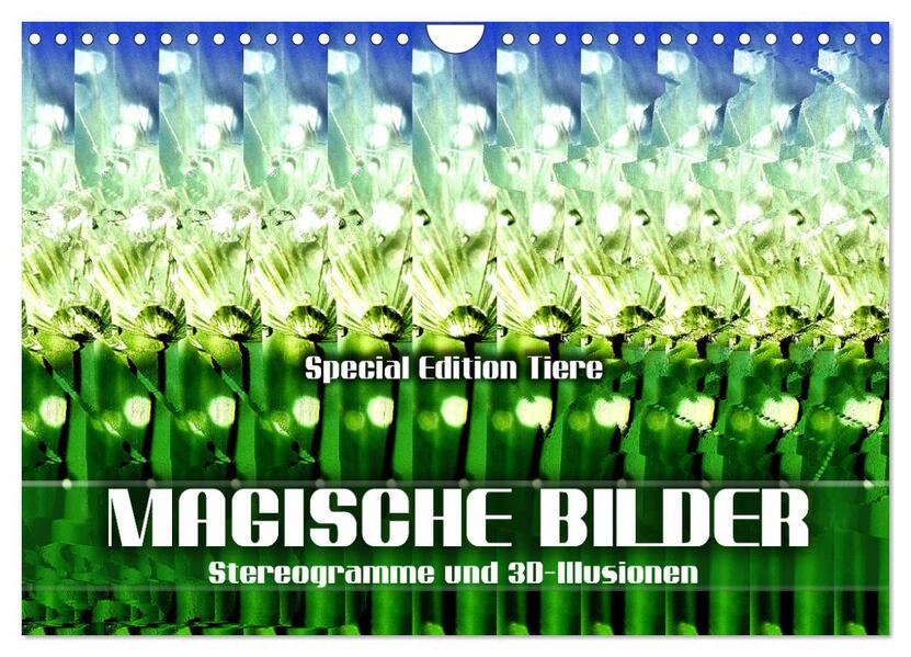Magische Bilder - Stereogramme und 3D-Illusionen (Wandkalender 2026 DIN A4 quer) CALVENDO Monatskalender
