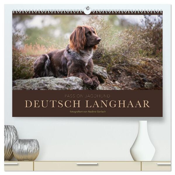 Passion Jagdhund - Deutsch Langhaar (hochwertiger Premium Wandkalender 2026 DIN A2 quer) Kunstdruck in Hochglanz
