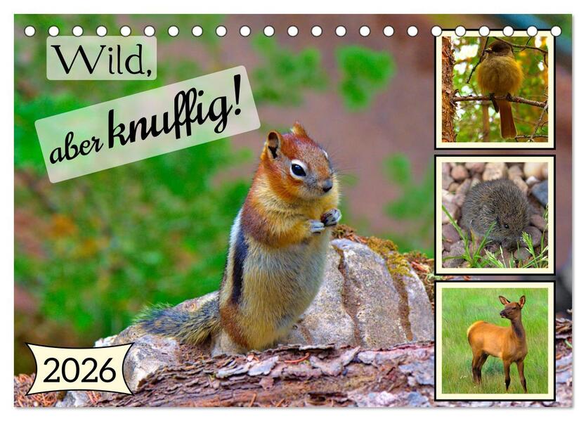 Wild aber knuffig! (Tischkalender 2026 DIN A5 quer) CALVENDO Monatskalender