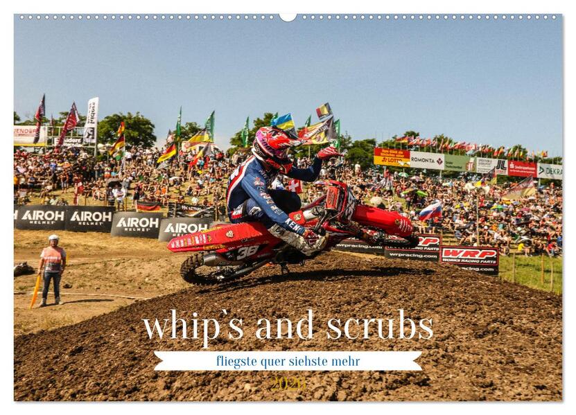 whip`s and scrub`s 2026 (Wandkalender 2026 DIN A2 quer) CALVENDO Monatskalender