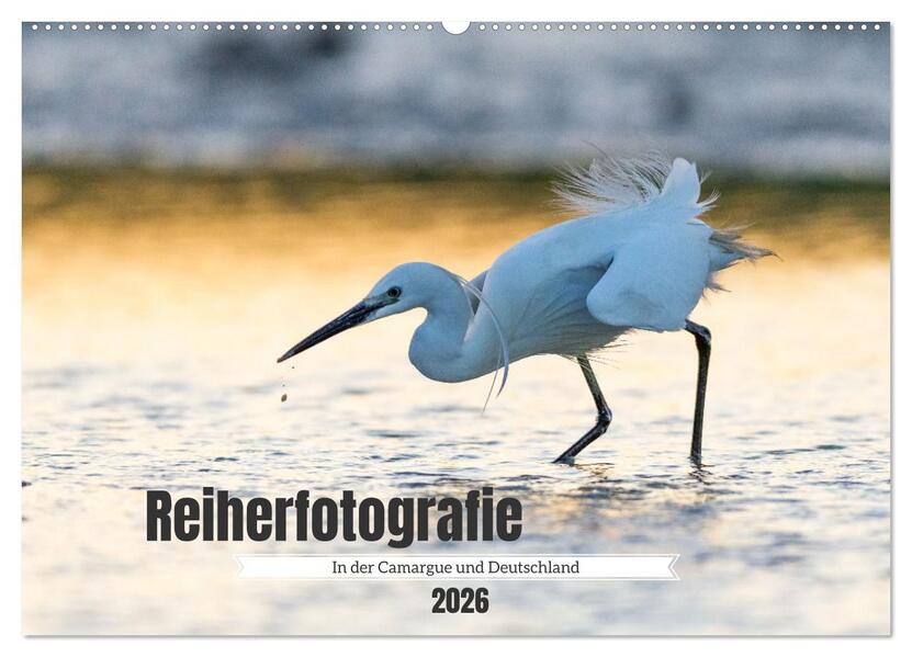 Reiherfotografie (Wandkalender 2026 DIN A2 quer) CALVENDO Monatskalender