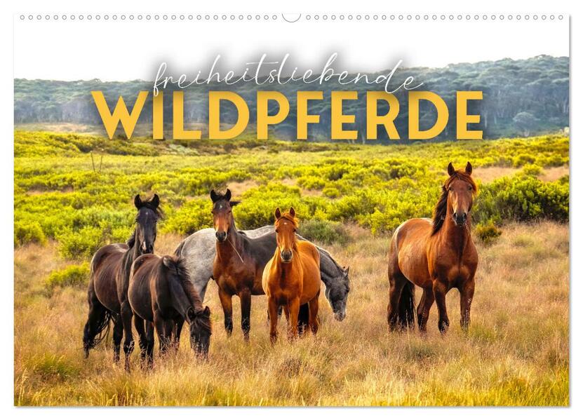 Freiheitsliebende Wildpferde (Wandkalender 2026 DIN A2 quer) CALVENDO Monatskalender