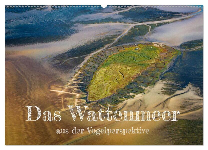Das Wattenmeer aus der Vogelperspektive (Wandkalender 2026 DIN A2 quer) CALVENDO Monatskalender