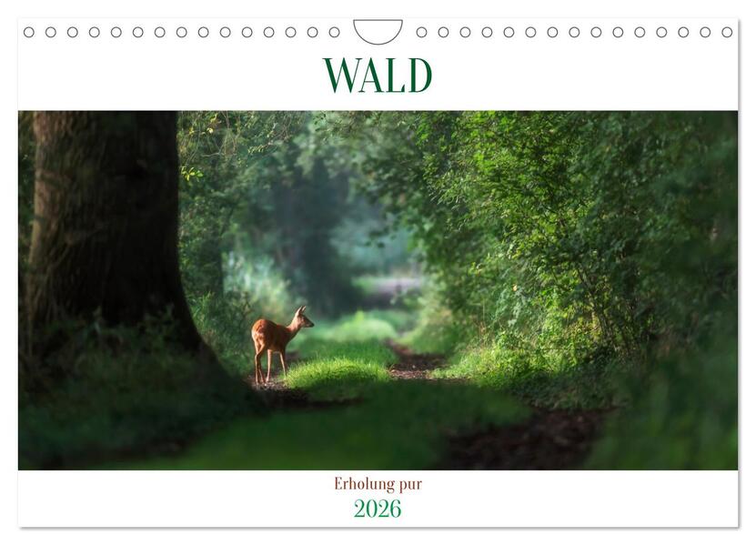 WALD Erholung pur (Wandkalender 2026 DIN A4 quer) CALVENDO Monatskalender