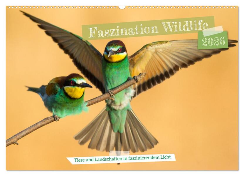 Faszination Wildlife (Wandkalender 2026 DIN A2 quer) CALVENDO Monatskalender