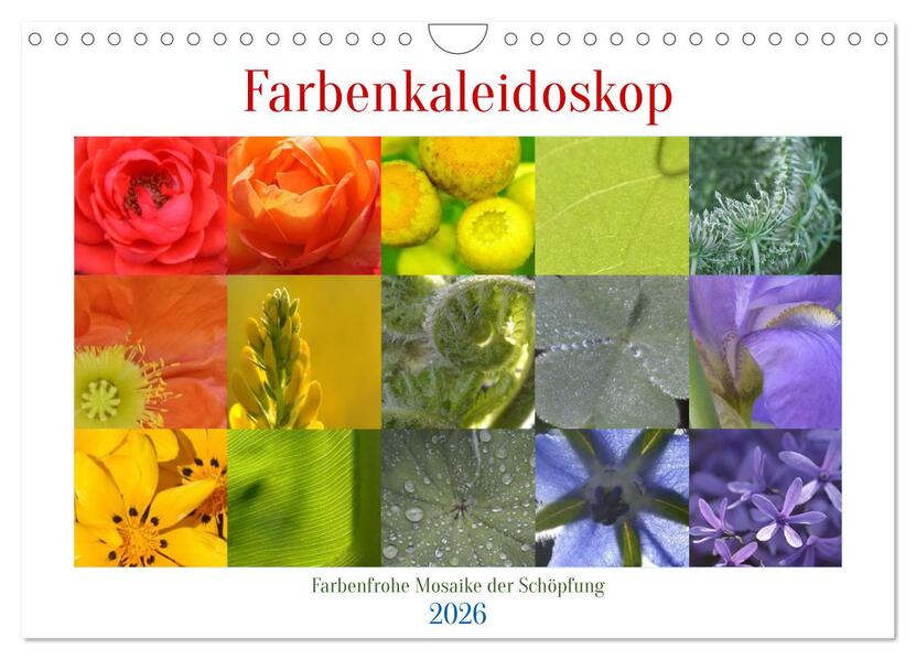 Farbenkaleidoskop (Wandkalender 2026 DIN A4 quer) CALVENDO Monatskalender