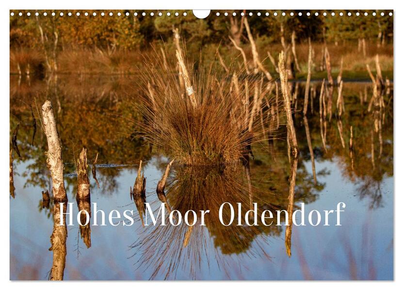 Hohes Moor Oldendorf (Wandkalender 2026 DIN A3 quer) CALVENDO Monatskalender