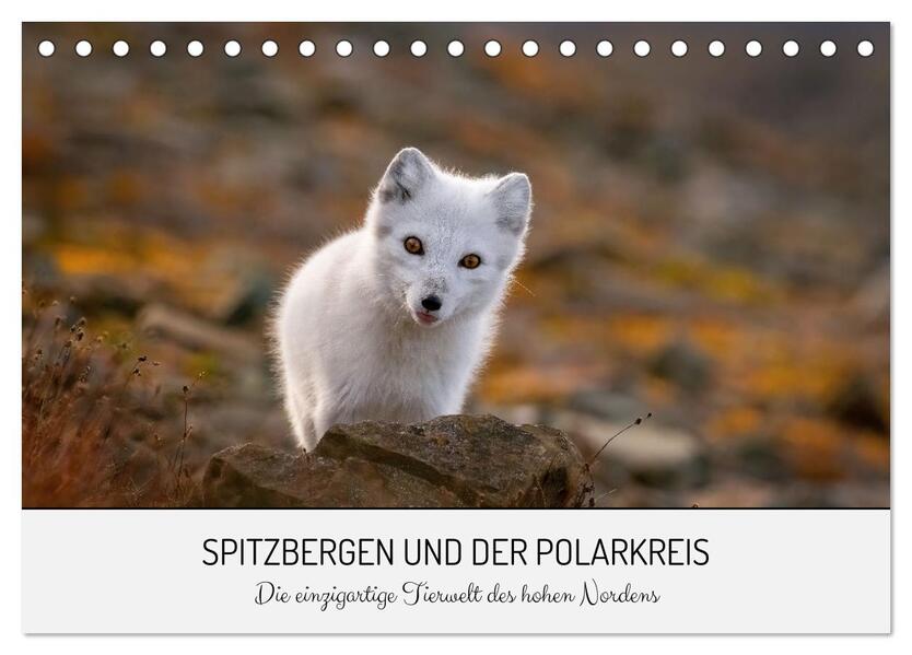 Spitzbergen und der Polarkreis (Tischkalender 2026 DIN A5 quer) CALVENDO Monatskalender