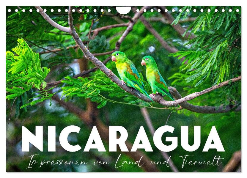 Nicaragua - Impressionen von Land und Tierwelt. (Wandkalender 2026 DIN A4 quer) CALVENDO Monatskalender