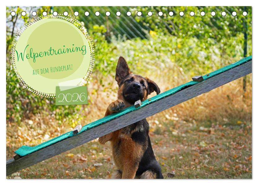 Welpentraining auf dem Hundeplatz (Tischkalender 2026 DIN A5 quer) CALVENDO Monatskalender