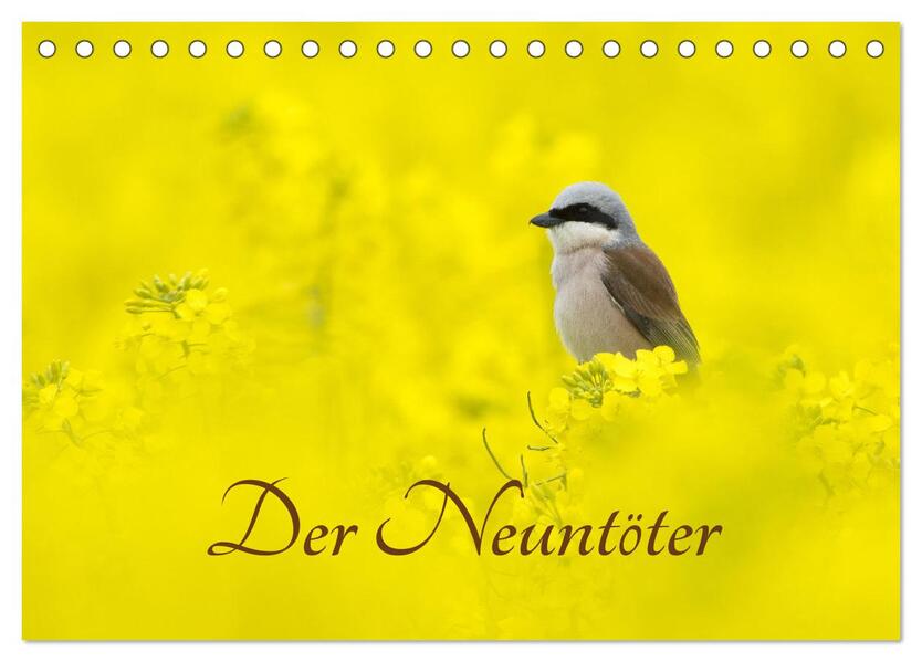 Der Neuntöter (Tischkalender 2026 DIN A5 quer) CALVENDO Monatskalender