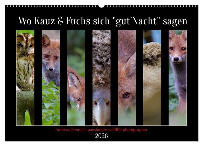 Wo Kauz & Fuchs sich 'gut`Nacht' sagen (Wandkalender 2026 DIN A2 quer) CALVENDO Monatskalender