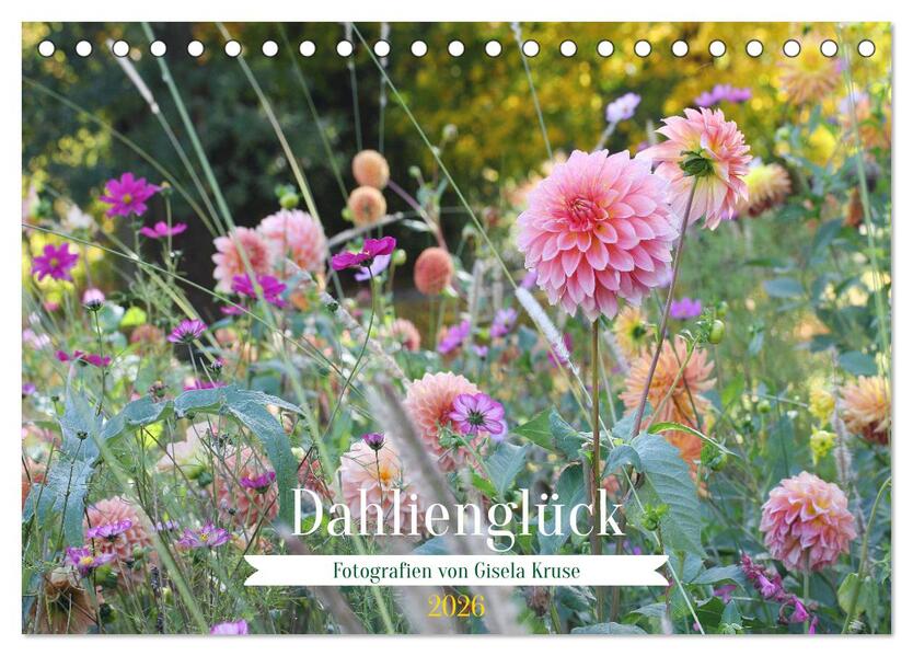Dahlienglück (Tischkalender 2026 DIN A5 quer) CALVENDO Monatskalender