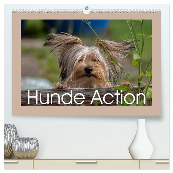 Hunde Action (hochwertiger Premium Wandkalender 2026 DIN A2 quer) Kunstdruck in Hochglanz