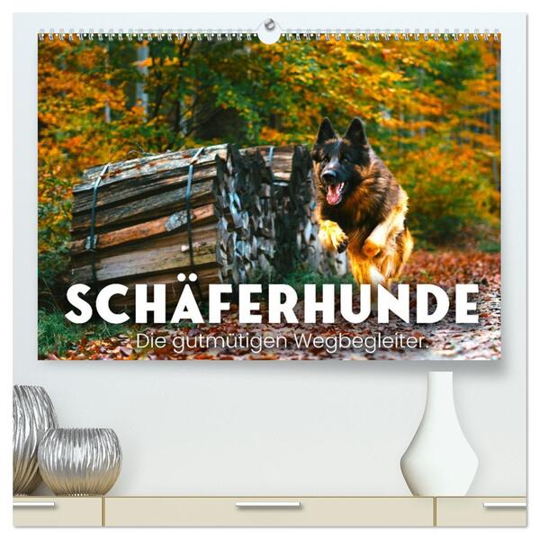 Schäferhunde - Die gutmütigen Wegbegleiter. (hochwertiger Premium Wandkalender 2026 DIN A2 quer) Kunstdruck in Hochglanz