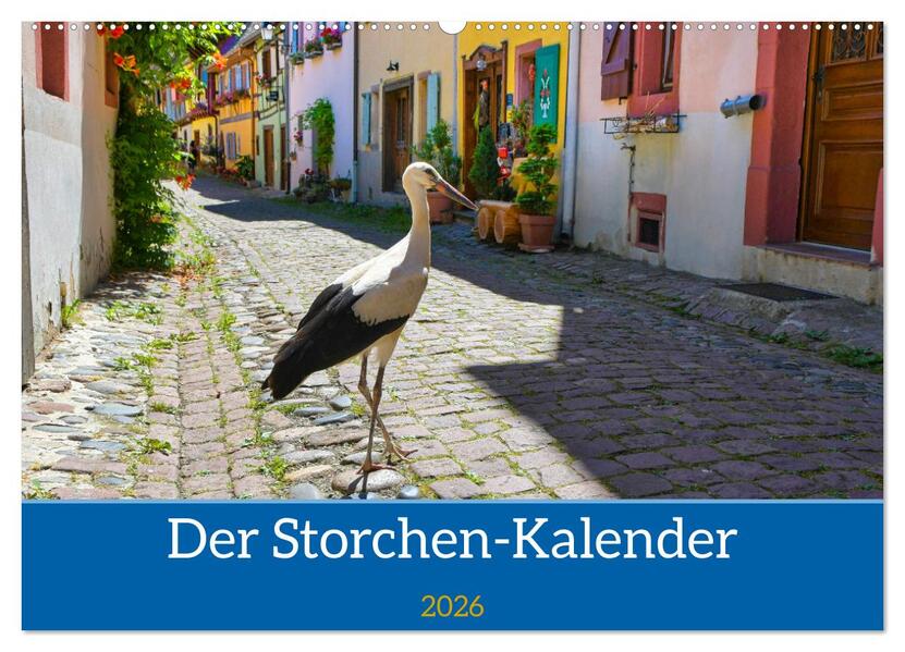 Der Storchenkalender (Wandkalender 2026 DIN A2 quer) CALVENDO Monatskalender