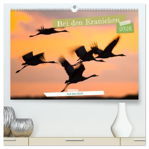 Bei den Kranichen (hochwertiger Premium Wandkalender 2026 DIN A2 quer) Kunstdruck in Hochglanz