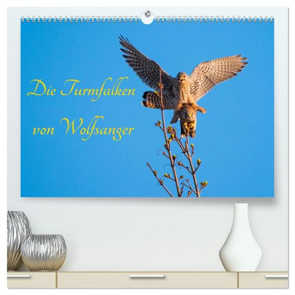 Die Turmfalken von Wolfsanger (hochwertiger Premium Wandkalender 2026 DIN A2 quer) Kunstdruck in Hochglanz