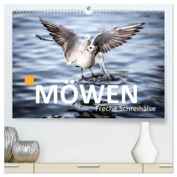 MÖWEN Freche Schreihälse (hochwertiger Premium Wandkalender 2026 DIN A2 quer) Kunstdruck in Hochglanz