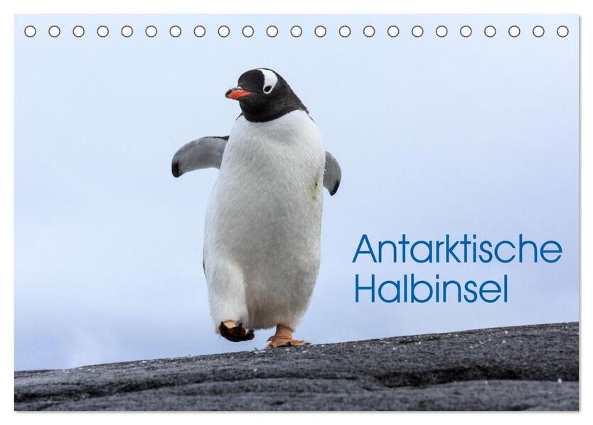 Antarktische Halbinsel (Tischkalender 2026 DIN A5 quer) CALVENDO Monatskalender