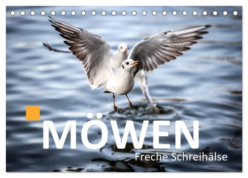 MÖWEN Freche Schreihälse (Tischkalender 2026 DIN A5 quer) CALVENDO Monatskalender