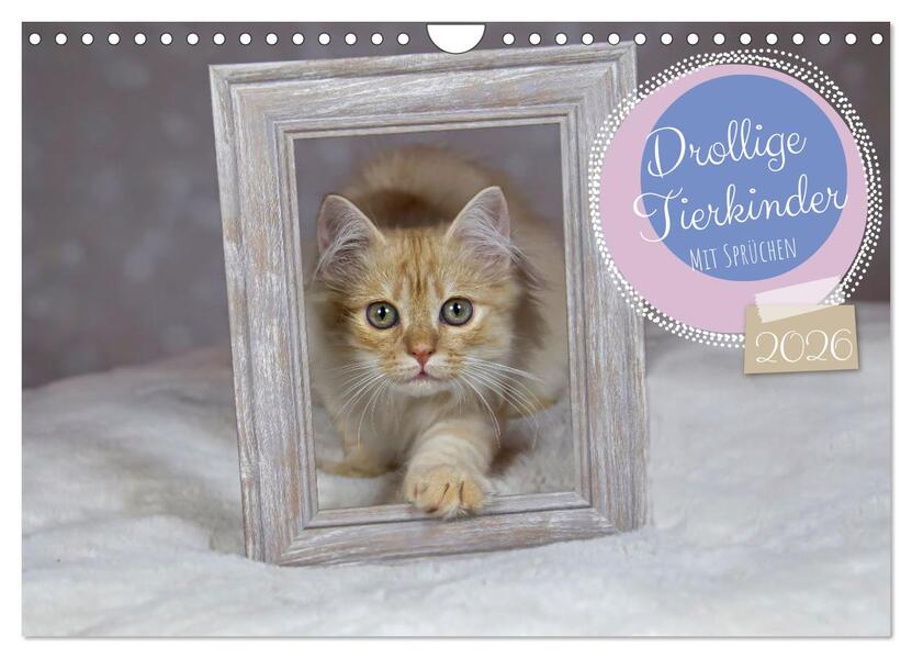 Drollige Tierkinder Mit Sprüchen (Wandkalender 2026 DIN A4 quer) CALVENDO Monatskalender