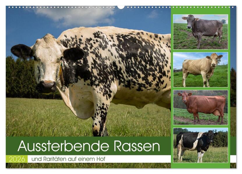 Aussterbende Rassen und Raritäten (Wandkalender 2026 DIN A2 quer) CALVENDO Monatskalender