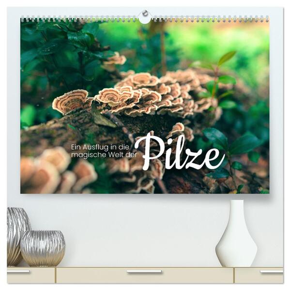 Ein Ausflug in die magische Welt der Pilze (hochwertiger Premium Wandkalender 2026 DIN A2 quer) Kunstdruck in Hochglanz