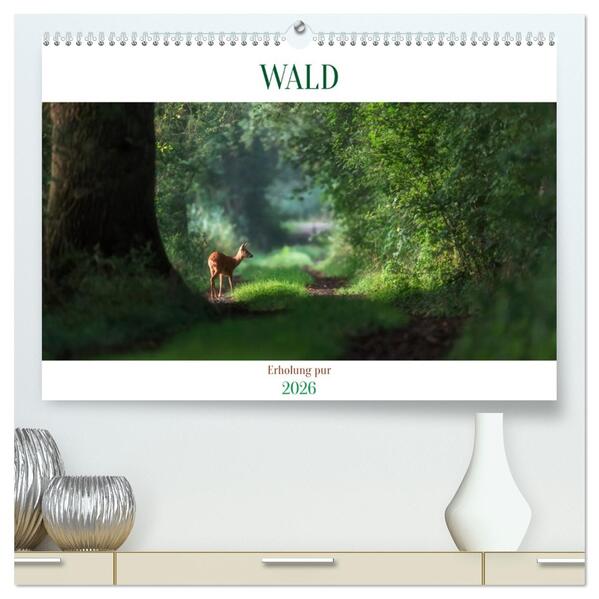 WALD Erholung pur (hochwertiger Premium Wandkalender 2026 DIN A2 quer) Kunstdruck in Hochglanz
