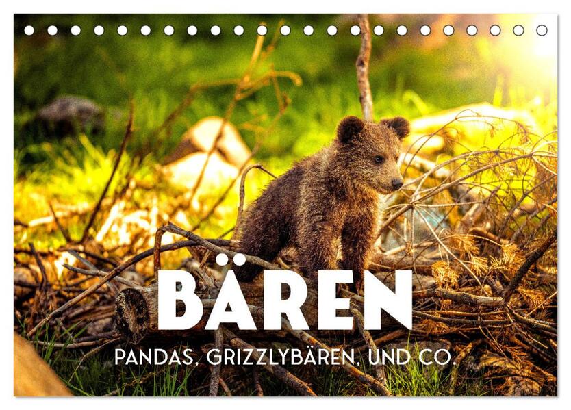 Bären - Pandas Grizzlybären und Co. (Tischkalender 2026 DIN A5 quer) CALVENDO Monatskalender