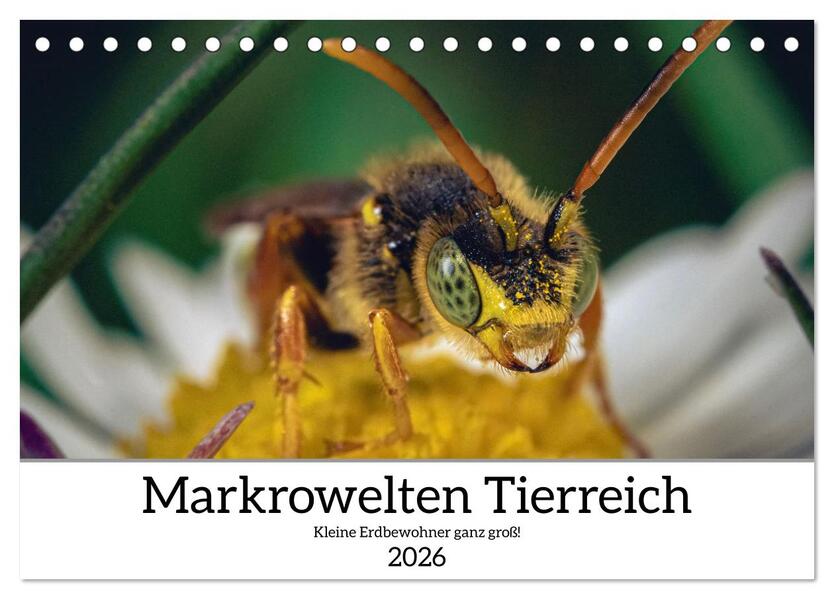 Makrowelten Tierreich (Tischkalender 2026 DIN A5 quer) CALVENDO Monatskalender