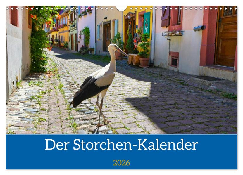 Der Storchenkalender (Wandkalender 2026 DIN A3 quer) CALVENDO Monatskalender