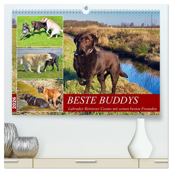 Beste Buddys (hochwertiger Premium Wandkalender 2026 DIN A2 quer) Kunstdruck in Hochglanz