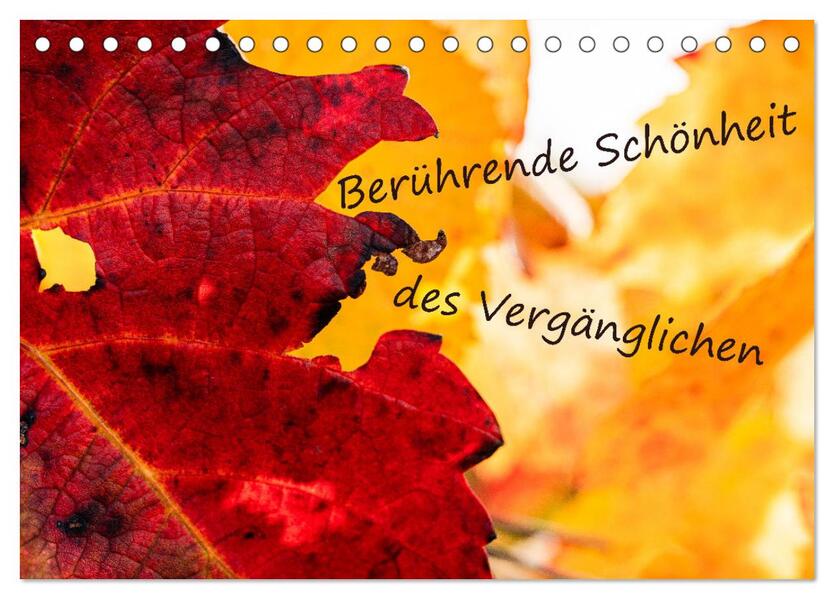 Berührende Schönheit des Vergänglichen (Tischkalender 2026 DIN A5 quer) CALVENDO Monatskalender