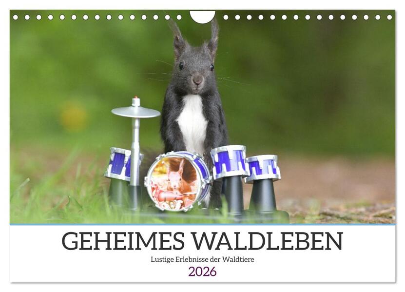 Geheimes Waldleben (Wandkalender 2026 DIN A4 quer) CALVENDO Monatskalender