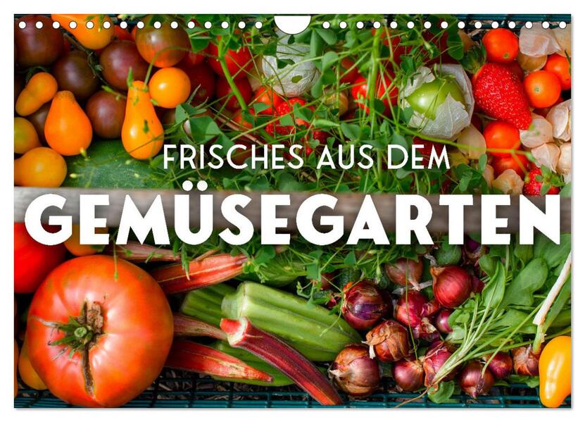 Frisches aus dem Gemüsegarten (Wandkalender 2026 DIN A4 quer) CALVENDO Monatskalender