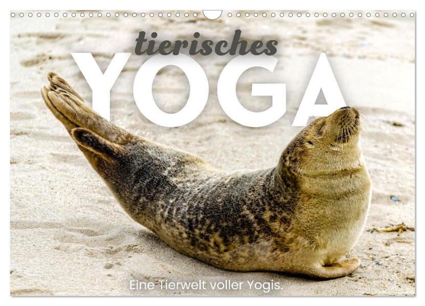 Tierisches Yoga - Eine Tierwelt voller Yogis. (Wandkalender 2026 DIN A3 quer) CALVENDO Monatskalender