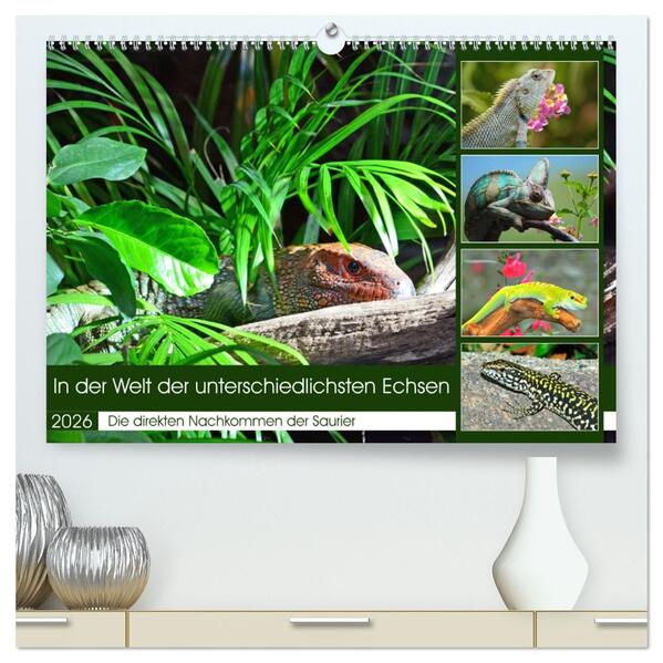 In der Welt der unterschiedlichsten Echsen (hochwertiger Premium Wandkalender 2026 DIN A2 quer) Kunstdruck in Hochglanz