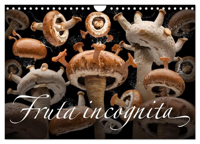 Fruta incognita - Die wundersame Welt des Fotografen Olaf Bruhn (Wandkalender 2026 DIN A4 quer) CALVENDO Monatskalender