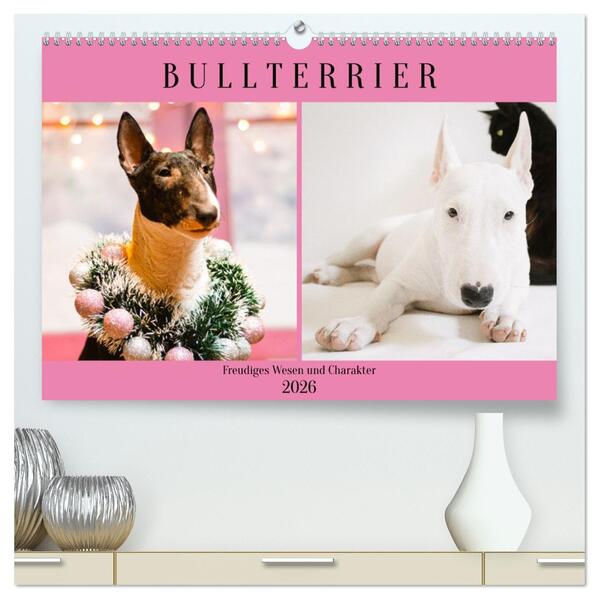 Bullterrier. Freudiges Wesen und Charakter (hochwertiger Premium Wandkalender 2026 DIN A2 quer) Kunstdruck in Hochglanz