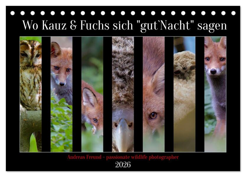 Wo Kauz & Fuchs sich 'gut`Nacht' sagen (Tischkalender 2026 DIN A5 quer) CALVENDO Monatskalender