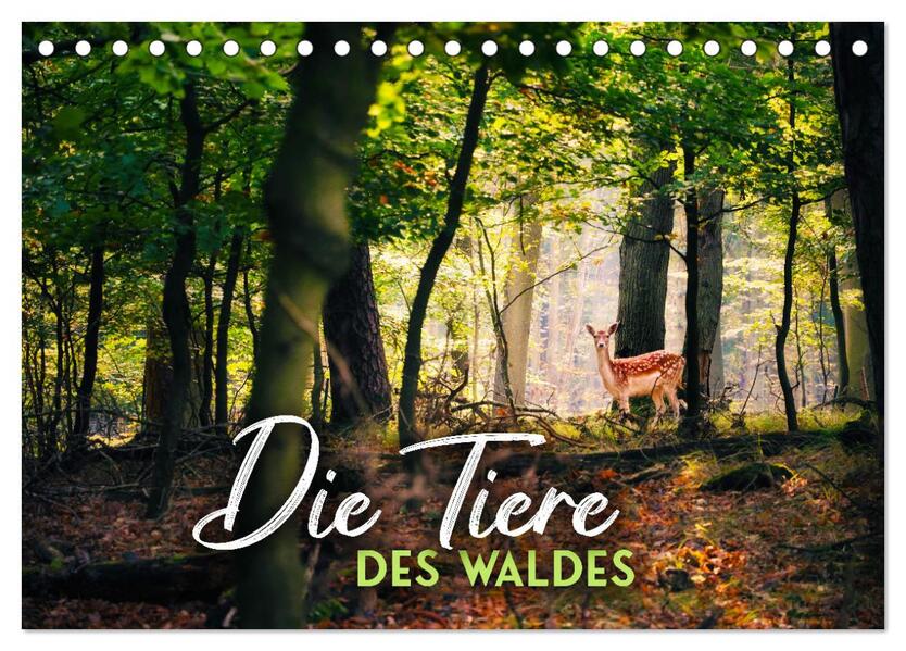 Die Tiere des Waldes (Tischkalender 2026 DIN A5 quer) CALVENDO Monatskalender