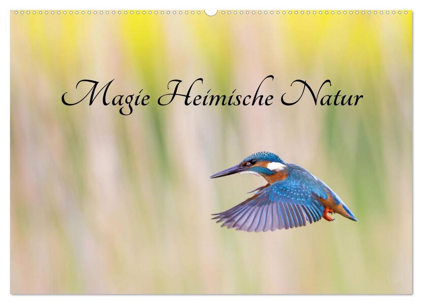 Magie Heimische Natur (Wandkalender 2026 DIN A2 quer) CALVENDO Monatskalender