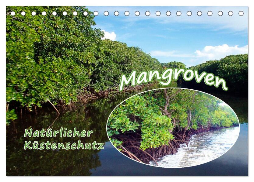 Mangroven - Natürlicher Küstenschutz (Tischkalender 2026 DIN A5 quer) CALVENDO Monatskalender