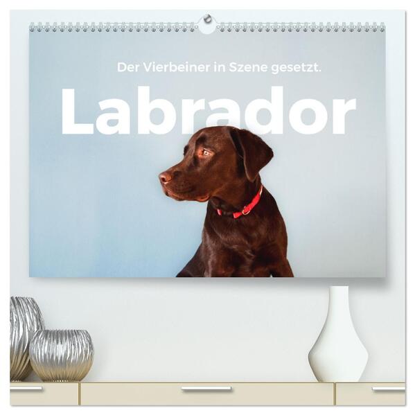 Labrador - Der Vierbeiner in Szene gesetzt. (hochwertiger Premium Wandkalender 2026 DIN A2 quer) Kunstdruck in Hochglanz
